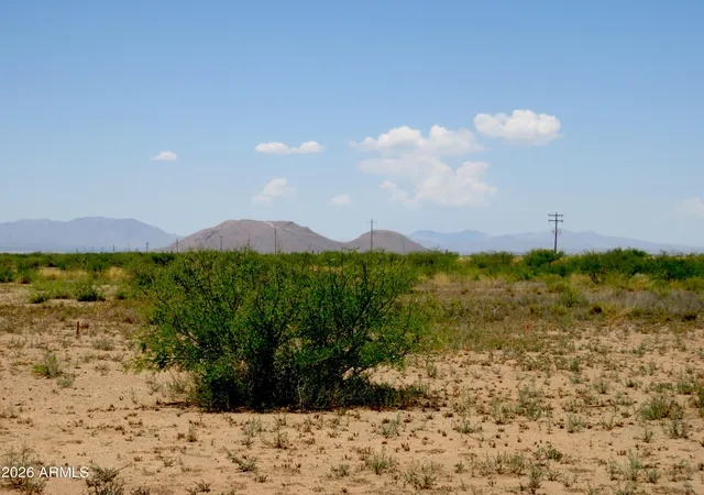Homes for sale in Willcox, AZ | 0 E Parker Ranch Rd, Willcox, AZ 85643 | MLS# 7051555