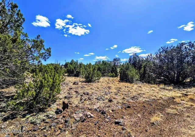 Photo 2 of Land for sale at 8426 Silver Crk Dr #1, Show Low, AZ 85901 | MLS# 7051658 | Listing updated on 2026-07-09