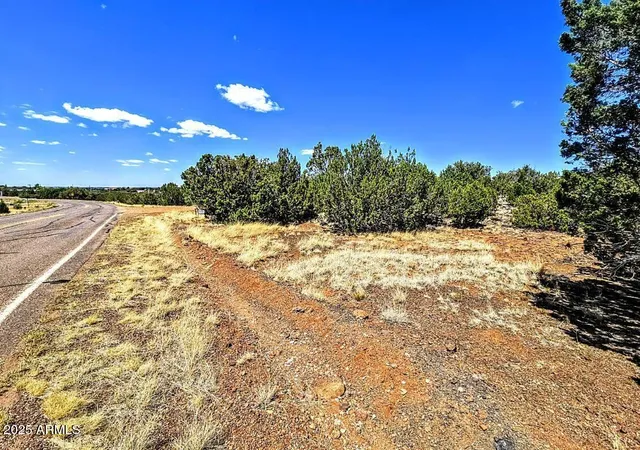 Photo 3 of Land for sale at 8426 Silver Crk Dr #1, Show Low, AZ 85901 | MLS# 7051658 | Listing updated on 2026-07-09