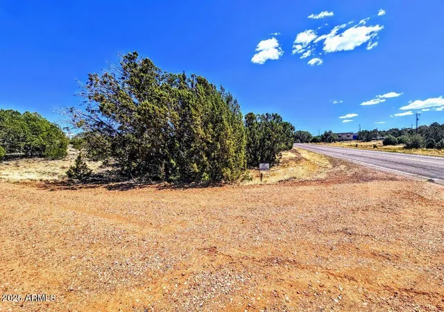 Photo 4 of Land for sale at 8426 Silver Crk Dr #1, Show Low, AZ 85901 | MLS# 7051658 | Listing updated on 2026-07-09