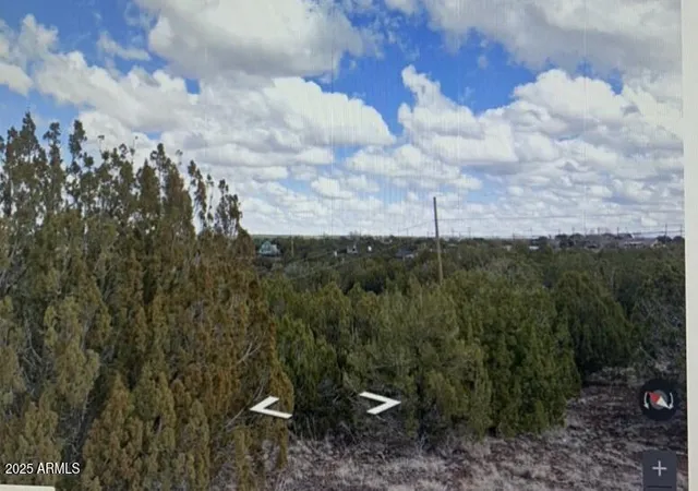 Photo 1 of Land for sale at 8546 Silver Crk Dr #44, Show Low, AZ 85901 | MLS# 7051665 | Listing updated on 2026-07-09