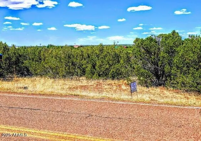 Photo 2 of Land for sale at 8546 Silver Crk Dr #44, Show Low, AZ 85901 | MLS# 7051665 | Listing updated on 2026-07-09