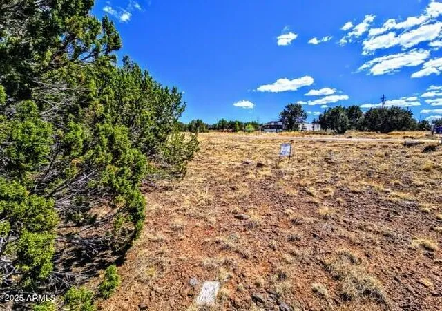 Photo 3 of Land for sale at 8546 Silver Crk Dr #44, Show Low, AZ 85901 | MLS# 7051665 | Listing updated on 2026-07-09