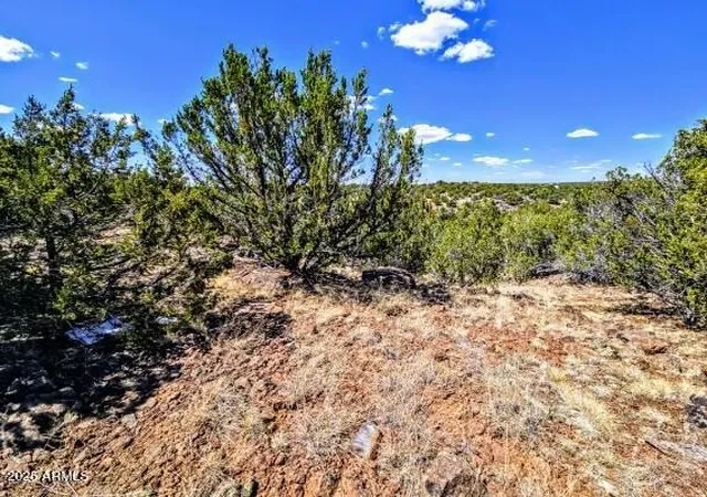 Photo 3 of Land for sale at 8546 Silver Crk Dr #44, Show Low, AZ 85901 | MLS# 7051665 | Listing updated on 2026-07-09