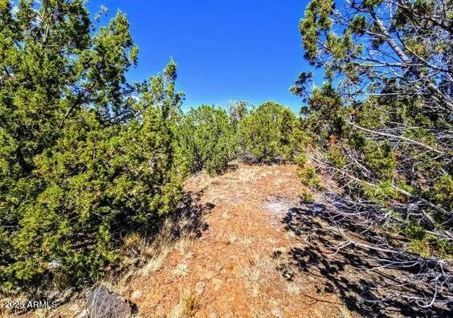 Photo 4 of Land for sale at 8546 Silver Crk Dr #44, Show Low, AZ 85901 | MLS# 7051665 | Listing updated on 2026-07-09