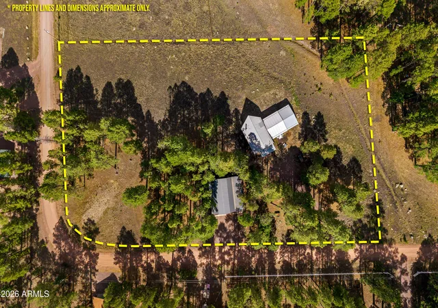 38th image of 22 County Road 2082, Alpine, AZ 85920 | MLS# 7052306