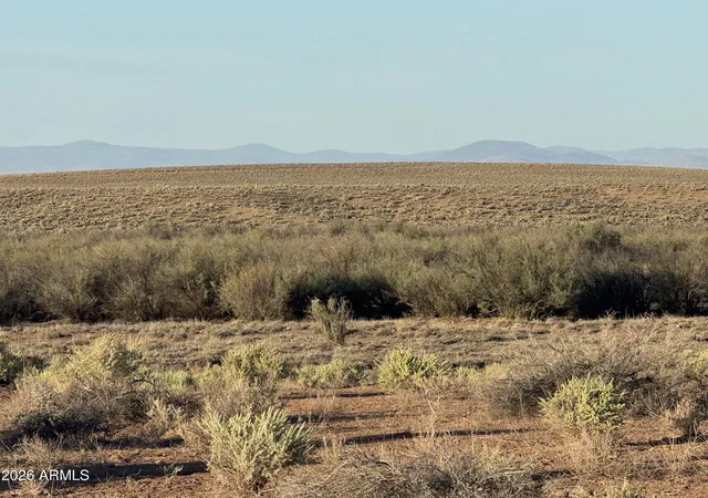 Photo 4 of Land for sale at Lot 445 Carrizo Ranch #445, St Johns, AZ 85936 | MLS# 7052330 | Listing updated on 2026-08-18