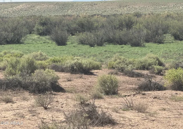 1st image of Lot 445 Carrizo Ranch #445, St Johns, AZ 85936 | MLS# 7052330