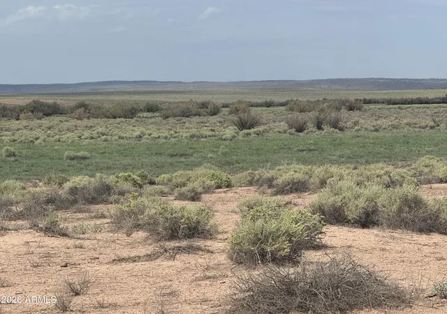 2nd image of Lot 445 Carrizo Ranch #445, St Johns, AZ 85936 | MLS# 7052330