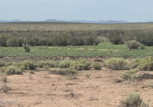 Photo 3 of Land for sale at Lot 445 Carrizo Ranch #445, St Johns, AZ 85936 | MLS# 7052330 | Listing updated on 2026-08-18