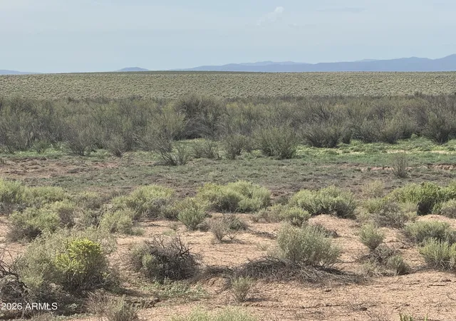 Photo 3 of Land for sale at Lot 445 Carrizo Ranch #445, St Johns, AZ 85936 | MLS# 7052330 | Listing updated on 2026-08-18