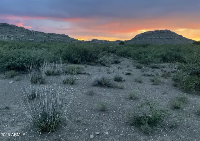 Homes for sale in Douglas, AZ | 20 Acres E Mud Springs Rd #5, Douglas, AZ 85607 | MLS# 7052345