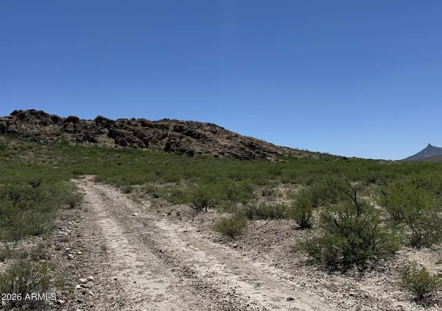 Homes for sale in Douglas, AZ | 20 Acres E Mud Springs Rd #5, Douglas, AZ 85607 | MLS# 7052345