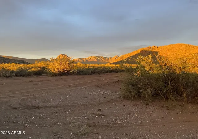 Homes for sale in Douglas, AZ | 20 Acres E Mud Springs Rd #5, Douglas, AZ 85607 | MLS# 7052345