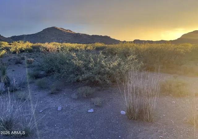 Homes for sale in Douglas, AZ | 20 Acres E Mud Springs Rd #5, Douglas, AZ 85607 | MLS# 7052345