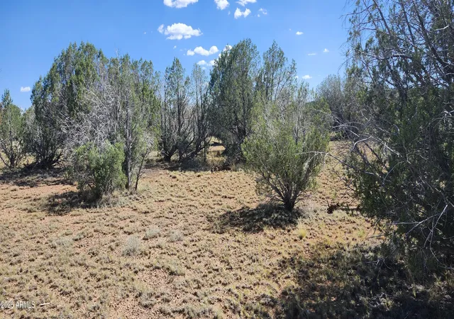 3rd image of 2901 N Cienega Dr #A, Ash Fork, AZ 86320 | MLS# 7053362