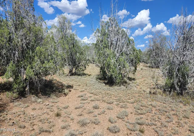 4th image of 2901 N Cienega Dr #A, Ash Fork, AZ 86320 | MLS# 7053362