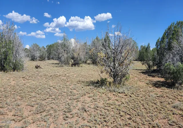 5th image of 2901 N Cienega Dr #A, Ash Fork, AZ 86320 | MLS# 7053362