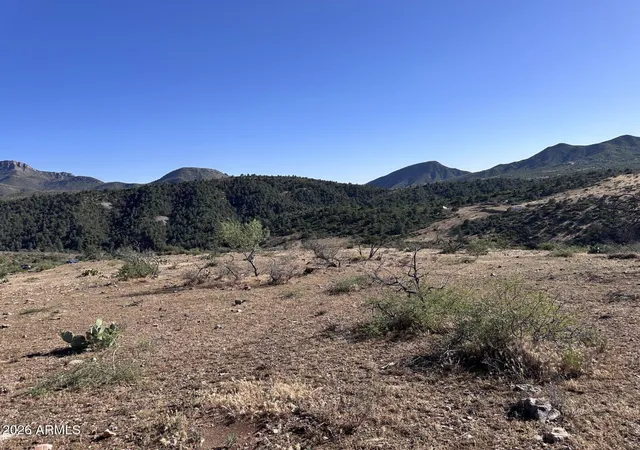 Homes for sale in Globe, AZ | 1076 E Horseshoe Springs Rd, Globe, AZ 85501 | MLS# 7053636