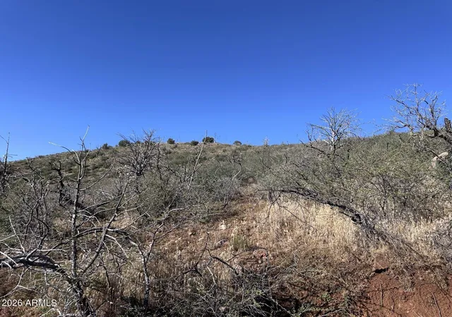 Homes for sale in Globe, AZ | 1076 E Horseshoe Springs Rd, Globe, AZ 85501 | MLS# 7053636