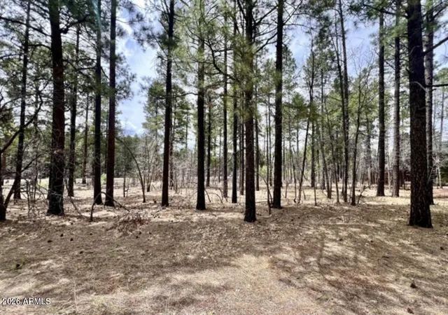 Homes for sale in Pinetop Lakeside, AZ | 4024 Latigo Wy, Pinetop Lakeside, AZ 85929 | MLS# 7054152