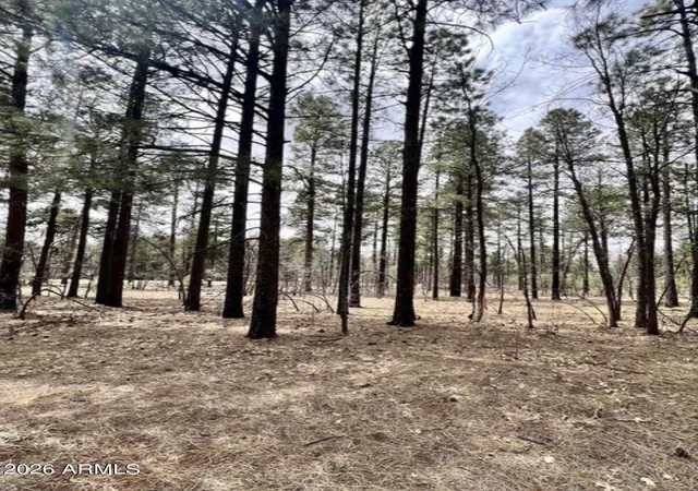 Homes for sale in Pinetop Lakeside, AZ | 4024 Latigo Wy, Pinetop Lakeside, AZ 85929 | MLS# 7054152