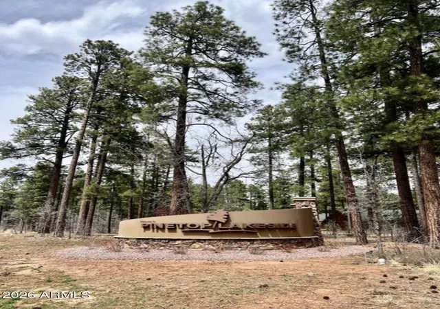 Homes for sale in Pinetop Lakeside, AZ | 4024 Latigo Wy, Pinetop Lakeside, AZ 85929 | MLS# 7054152
