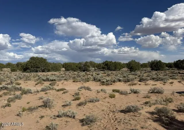 16th image of Tbd County Rd N7207, Saint Johns, AZ 85936 | MLS# 7054464