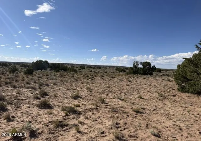 1st image of Tbd County Rd N7207, Saint Johns, AZ 85936 | MLS# 7054464