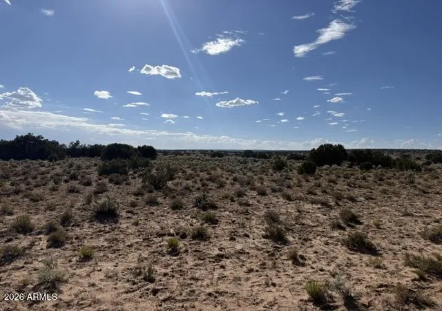 2nd image of Tbd County Rd N7207, Saint Johns, AZ 85936 | MLS# 7054464