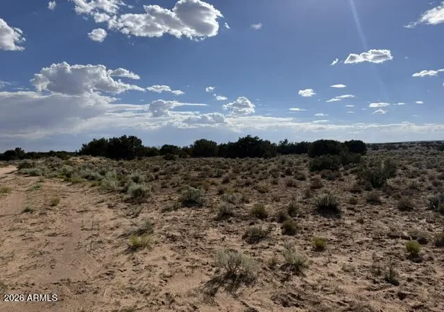3rd image of Tbd County Rd N7207 --, Saint Johns, AZ 85936 | MLS# 7054464