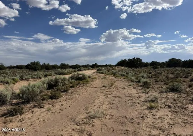 4th image of Tbd County Rd N7207 --, Saint Johns, AZ 85936 | MLS# 7054464