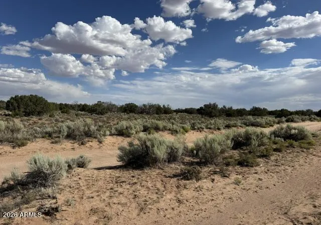 5th image of Tbd County Rd N7207 --, Saint Johns, AZ 85936 | MLS# 7054464
