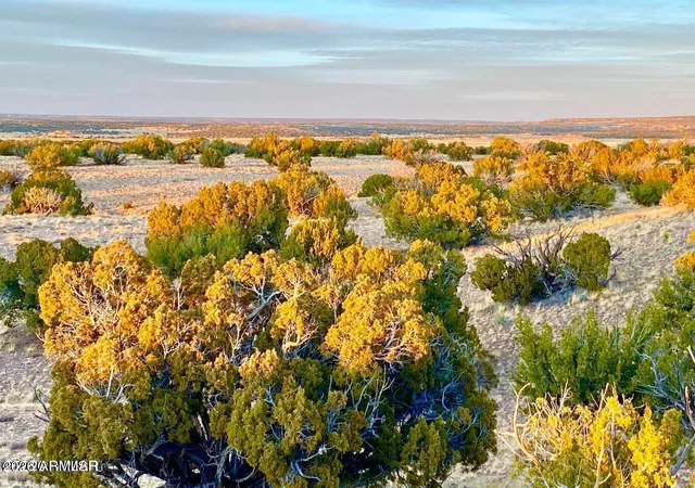 3rd image of Woodland Valley Ranch Lot 902 --, St Johns, AZ 85936 | MLS# 7054671