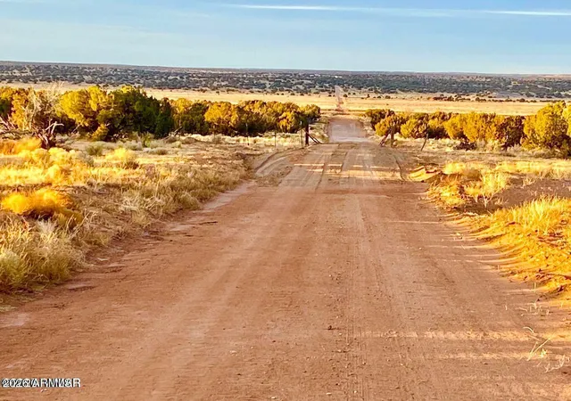 4th image of Woodland Valley Ranch Lot 902 --, St Johns, AZ 85936 | MLS# 7054671