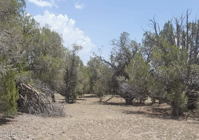 19th image of 67 Ranch Rd #67, Williams, AZ 86046 | MLS# 7054763