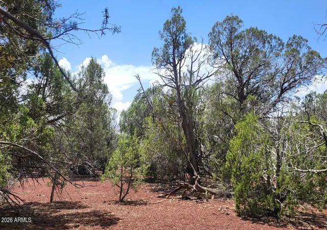4th image of 67 Ranch Rd #67, Williams, AZ 86046 | MLS# 7054763