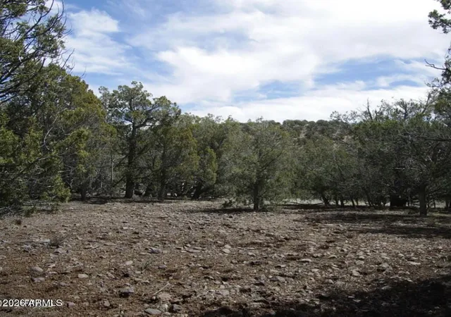 Photo 2 of Sale Pending at 918 Wolf Rd #918, Ash Fork, AZ 86320 | MLS# 7054872 | Listing updated on 2026-09-11