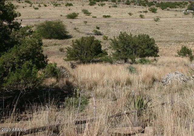 Photo 3 of Land for sale at 009n One More Rd, Hereford, AZ 85615 | MLS# 7055343 | Listing updated on 2026-07-17