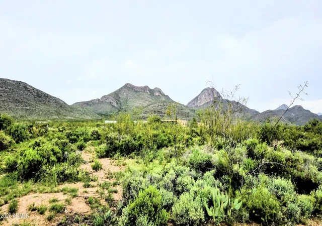 42nd image of 2346 N Mustang Heights Rd, Huachuca City, AZ 85616 | MLS# 7055164