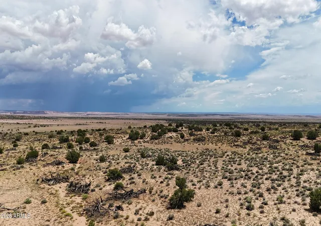 3rd image of Tbd Gbar Ranch Parcel 204-78-209 -- #095, St Johns, AZ 85936 | MLS# 7057397