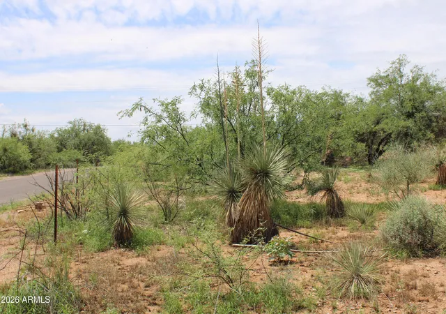 2nd image of 6281 E Az 90 #49, Sierra Vista, AZ 85635 | MLS# 7055948