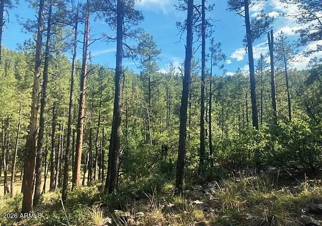 Photo 2 of Land for sale at 21 S Louie Cir #21, Payson, AZ 85541 | MLS# 7055799 | Listing updated on 2026-08-04