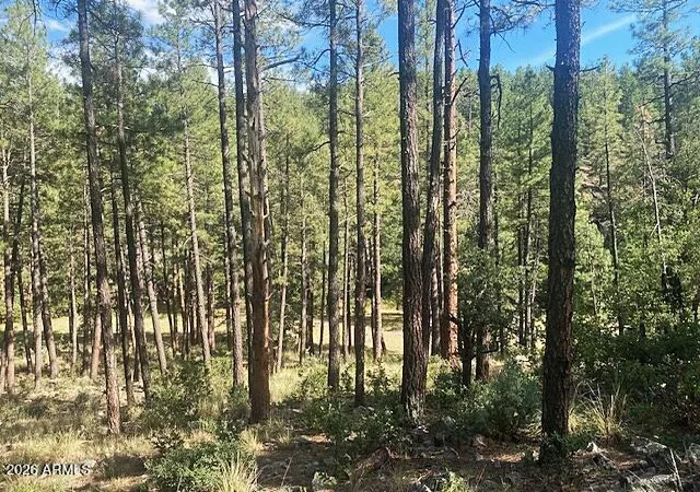 Photo 3 of Land for sale at 21 S Louie Cir #21, Payson, AZ 85541 | MLS# 7055799 | Listing updated on 2026-08-04