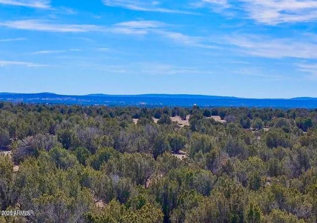 1st image of 9023 Appaloosa Trail Lots C & E, Show Low, AZ 85901 | MLS# 7055820
