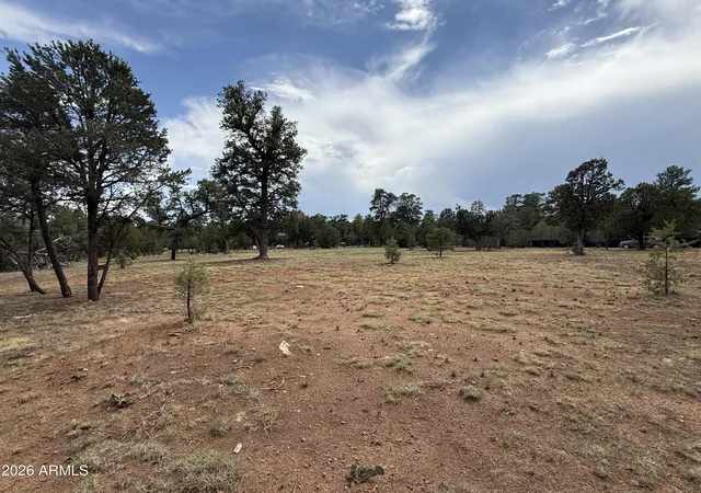 Photo 1 of Land for sale at 3048 Chevelon Rd #147, Overgaard, AZ 85933 | MLS# 7056122 | Listing updated on 2026-07-19
