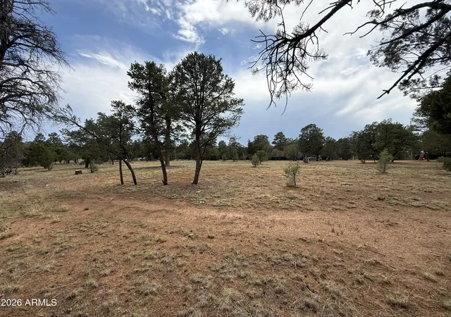 Photo 2 of Land for sale at 3048 Chevelon Rd #147, Overgaard, AZ 85933 | MLS# 7056122 | Listing updated on 2026-07-19