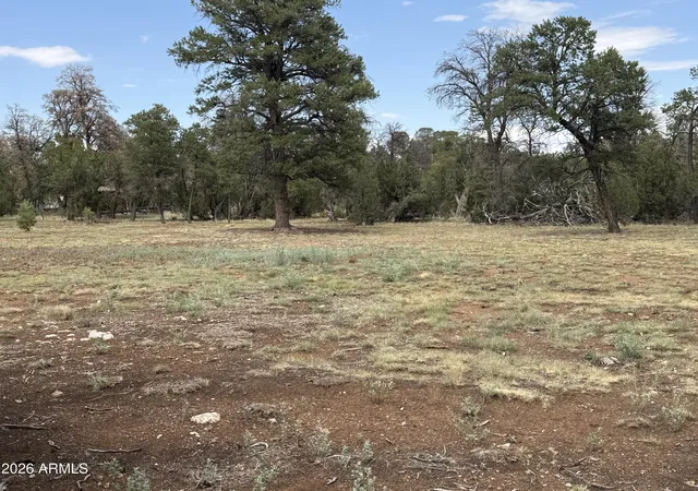 Photo 3 of Land for sale at 3048 Chevelon Rd #147, Overgaard, AZ 85933 | MLS# 7056122 | Listing updated on 2026-07-19