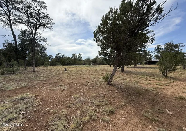 Photo 4 of Land for sale at 3048 Chevelon Rd #147, Overgaard, AZ 85933 | MLS# 7056122 | Listing updated on 2026-07-19