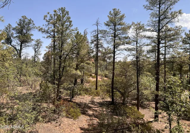 Photo 2 of Single family home for sale at 7384 Carina Ln, Lakeside, AZ 85929 | MLS# 7056669 | Listing updated on 2026-08-31